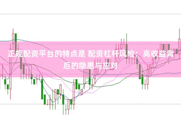 正规配资平台的特点是 配资杠杆风险：高收益背后的隐患与应对