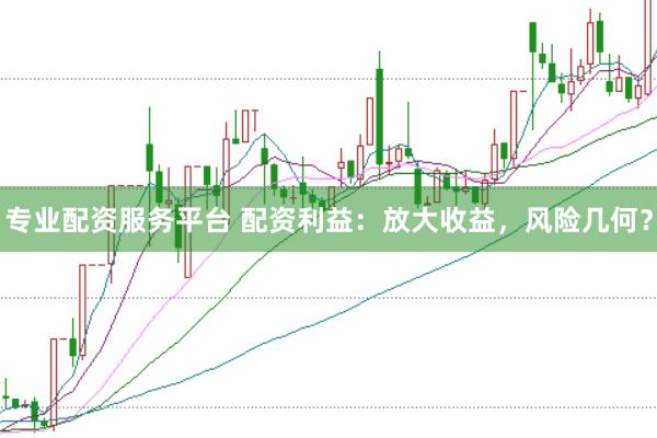 专业配资服务平台 配资利益：放大收益，风险几何？