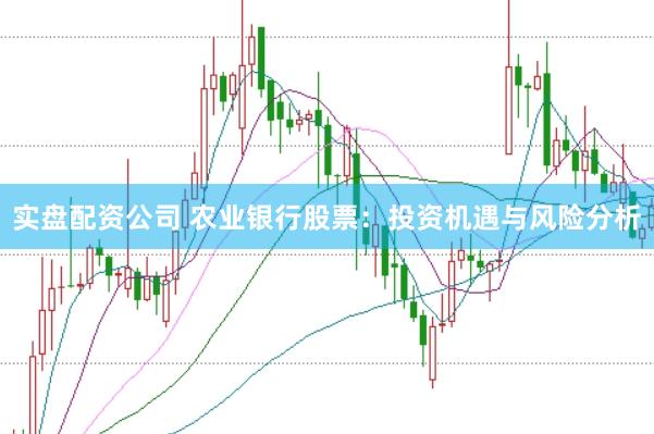 实盘配资公司 农业银行股票：投资机遇与风险分析