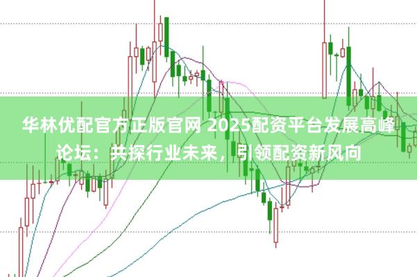 华林优配官方正版官网 2025配资平台发展高峰论坛：共探行业未来，引领配资新风向