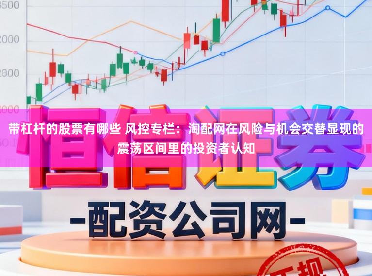带杠杆的股票有哪些 风控专栏：淘配网在风险与机会交替显现的震荡区间里的投资者认知