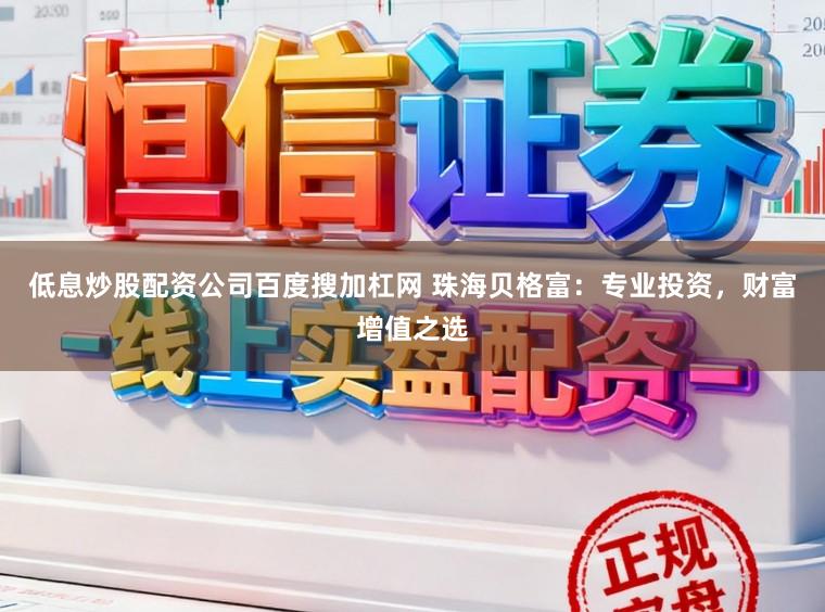 低息炒股配资公司百度搜加杠网 珠海贝格富：专业投资，财富增值之选